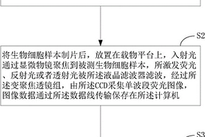 基于高光譜顯微成像技術的細胞檢測方法