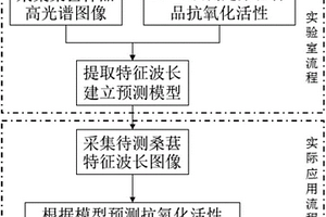 桑葚抗氧化活性的光譜檢測方法