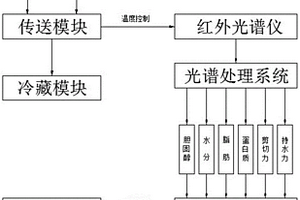 基于近紅外的羊肉品質在線快速無損檢測系統及方法