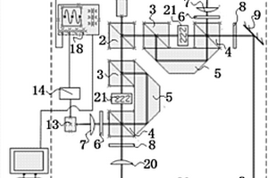 基于雙測量光束的激光聲表面波探測系統及其使用方法