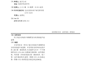 用于復合結構的不規則性部分檢查的超聲波建模