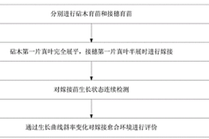 瓜类嫁接苗愈合期生长无损检测和愈合环境评价方法