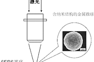 基于表面增強拉曼光譜探測痕量生物分子電離輻射分解反應的方法