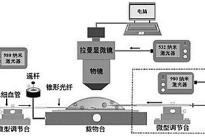 可同時實現單細胞靶向藥物遞送和實時探測的全光學方法