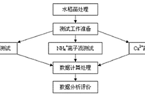 基于非損傷微測技術的水稻生理性青枯病評價方法