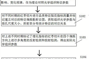 偏振散射測量紅棗組織光學參數的方法及裝置