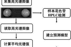 基于高光譜的楊梅中花色苷含量測定的方法