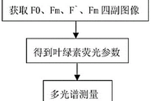 基于葉綠素熒光和多光譜圖像的植物生理監測方法