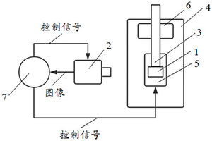 測量植物根系力學性質的設備和方法