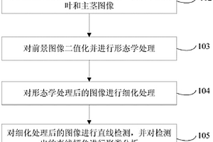 測量水稻劍葉角度的方法、裝置及系統