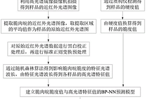 基于可見-近紅外高光譜技術的脆肉皖脆度預測方法