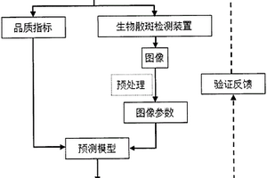 基于生物散斑技術無損檢測蘋果內部品質的方法