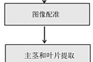 基于三維點云圖像的馬尾松部分表型參數自動測量方法