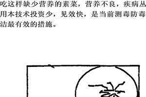 蔬菜殘留農藥的生物速測
