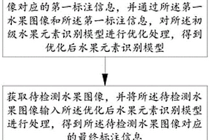 水果內部結構無損檢測方法、系統、電子設備及介質