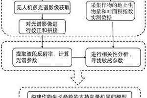 基于無人機多光譜遙感影像的作物生長參數測定方法及系統