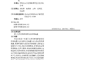 基于光學的橋梁樁基無損檢測裝置