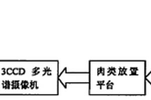 多光譜肉類新鮮度人工智能測量方法及系統