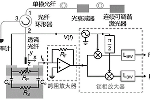 基于表面态吸收原理的垂直耦合透明光电探测器