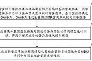 非破壞性禽蛋品質性狀預測方法及系統