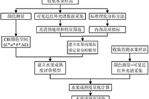 基于光譜和顏色測量的水果成熟度評價方法