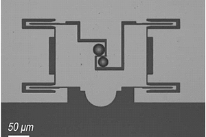 透射電鏡原位納米力學拉伸測試樣品粘接方法