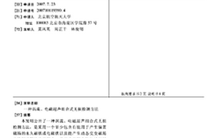 渦流、電磁超聲組合式無損檢測方法