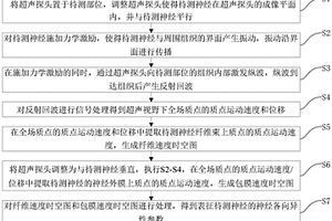 測量神經各向異性彈性性質的彈性成像方法及裝置