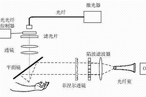 便攜式拉曼光譜無創傷血糖儀