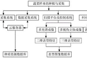 蔬菜數字化育種方法