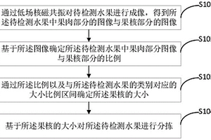 基于果核大小進行分揀的方法、裝置、終端及存儲介質