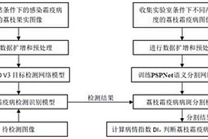 基于圖像識別的荔枝霜疫病自動識別方法、系統和存儲介質
