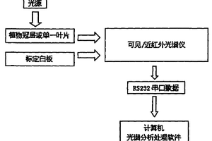 可見和近紅外光譜的植物葉片或冠層灰霉病診斷方法與系統
