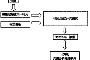 可見和近紅外光譜的植物葉片或冠層灰霉病診斷系統