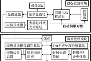 基于太赫茲光譜的循環腫瘤細胞篩查系統及方法