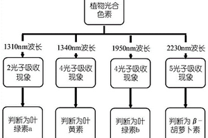 植物中光合色素種類的識別方法