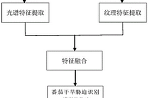 番茄干旱脅迫的識別方法