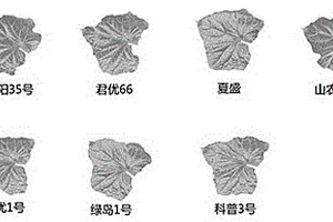 基于葉綠素熒光成像技術快速篩選不同溫度敏感型植物的裝置和方法
