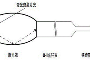超微量Raman-Stokes散射光傳感器
