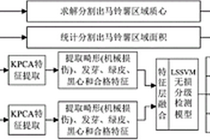 基于多特征融合的馬鈴薯高速無損分級檢測方法及系統