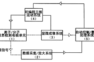 利用分子離子譜評價抽油桿環境耐用性的方法