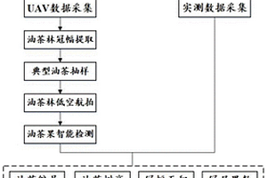 基于無人機遙感的大面積油茶林快速估產方法
