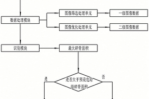 識別肉塊中危險級碎骨的系統及方法