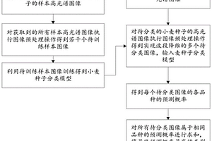 基于數據增強與注意力機制的小麥種子分類方法