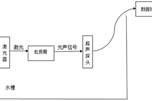 利用光聲時域信號評估骨質彈性模量的方法
