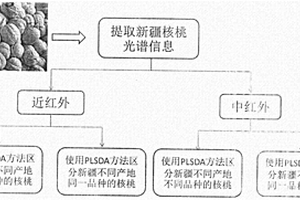 基于紅外光譜技術對新疆核桃產地區分的方法