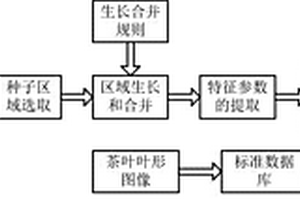 結合圖像和計算模型的茶葉嫩芽形態的三維重建方法