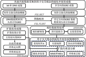 基于交叉模態的人腦磁化率張量成像方法
