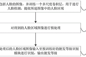 脫發等級識別方法和系統