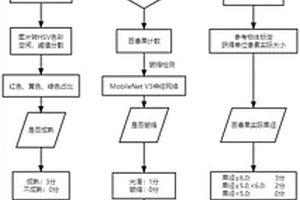 基于機器視覺的多指標百香果品質分級方法